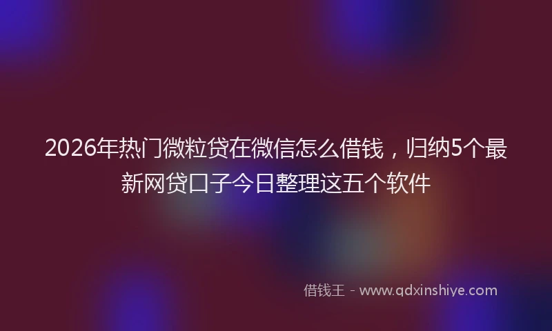 2026年热门微粒贷在微信怎么借钱，归纳5个最新网贷口子今日整理这五个软件