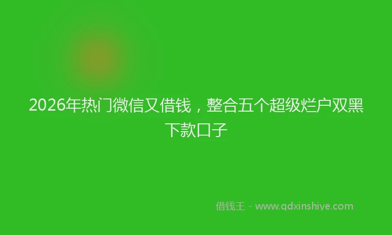 2026年热门微信又借钱，整合五个超级烂户双黑下款口子