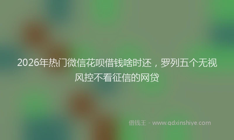 2026年热门微信花呗借钱啥时还，罗列五个无视风控不看征信的网贷