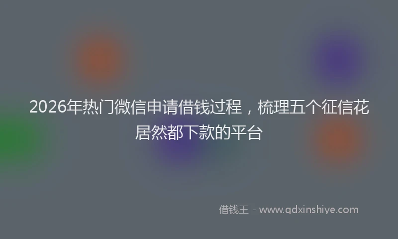 2026年热门微信申请借钱过程，梳理五个征信花居然都下款的平台