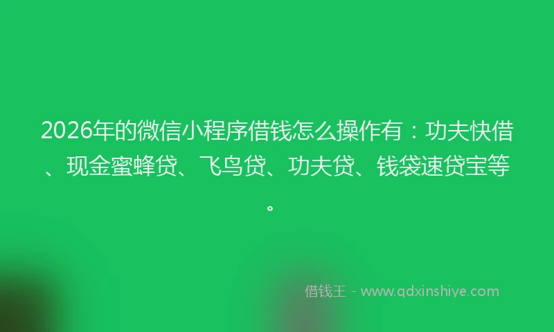 2026年的微信小程序借钱怎么操作有：功夫快借、现金蜜蜂贷、飞鸟贷、功夫贷、钱袋速贷宝等。