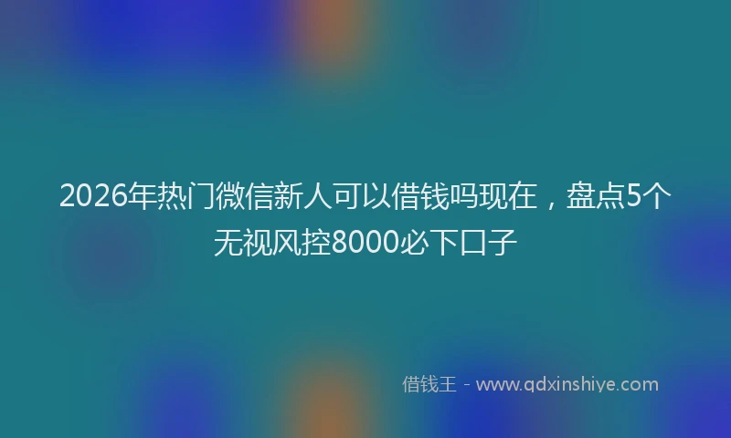 2026年热门微信新人可以借钱吗现在，盘点5个无视风控8000必下口子