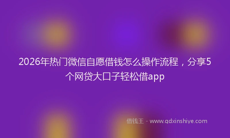 2026年热门微信自愿借钱怎么操作流程，分享5个网贷大口子轻松借app