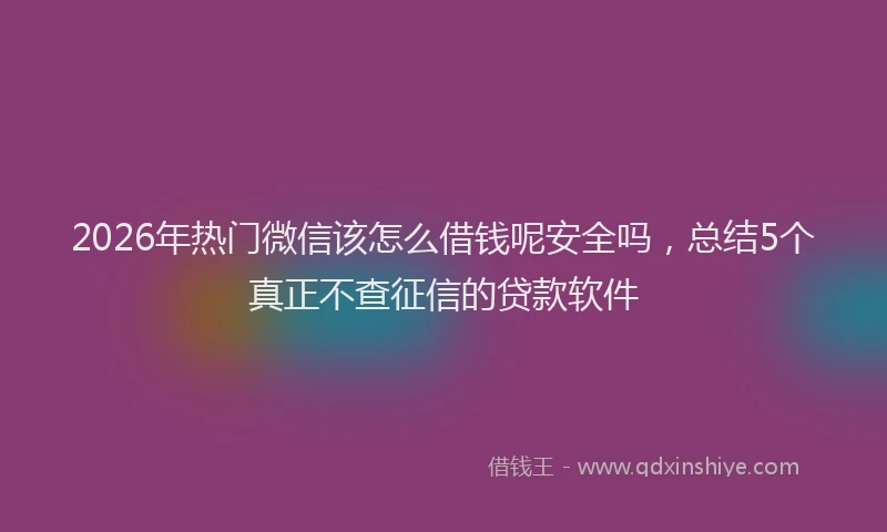 2026年热门微信该怎么借钱呢安全吗，总结5个真正不查征信的贷款软件