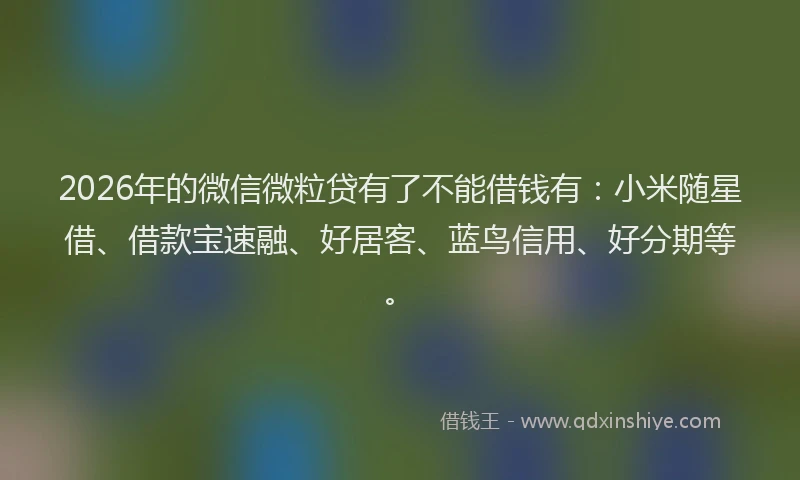 2026年的微信微粒贷有了不能借钱有:小米随星借、借款宝速融、好居客、蓝鸟信用、好分期等。