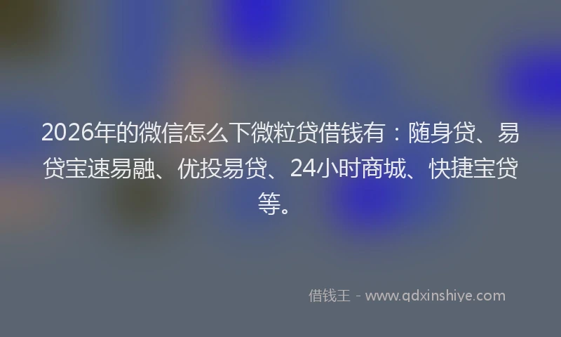 2026年的微信怎么下微粒贷借钱有：随身贷、易贷宝速易融、优投易贷、24小时商城、快捷宝贷等。