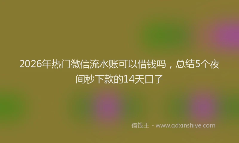 2026年热门微信流水账可以借钱吗,总结5个夜间秒下款的14天口子