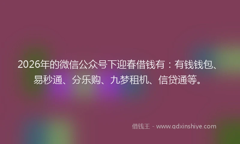 2026年的微信公众号下迎春借钱有:有钱钱包、易秒通、分乐购、九梦租机、信贷通等。