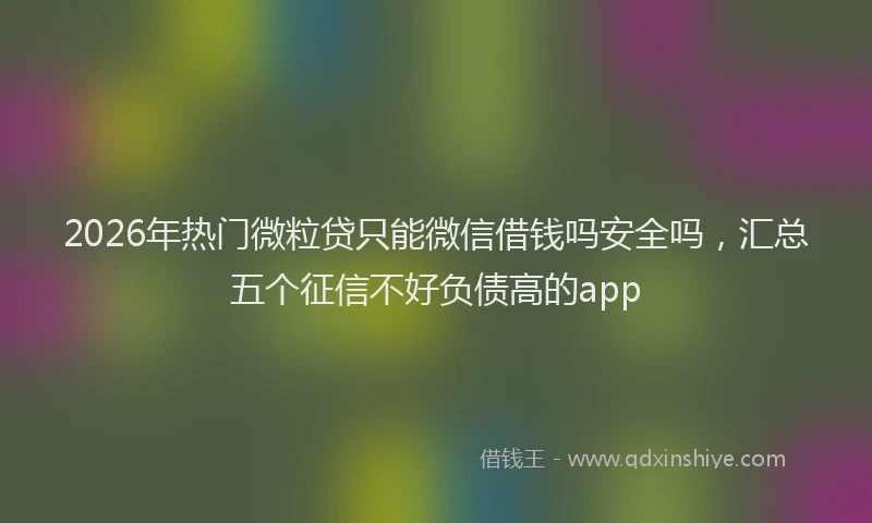 2026年热门微粒贷只能微信借钱吗安全吗，汇总五个征信不好负债高的app