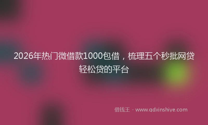 2026年热门微借款1000包借,梳理五个秒批网贷轻松贷的平台