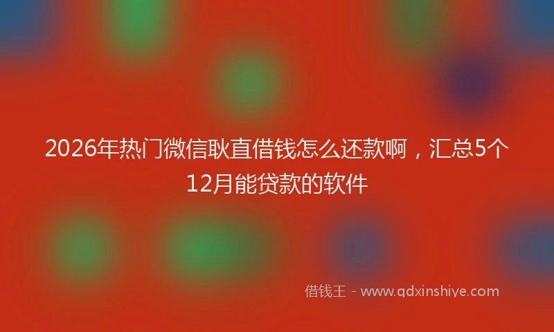 2026年热门微信耿直借钱怎么还款啊，汇总5个12月能贷款的软件