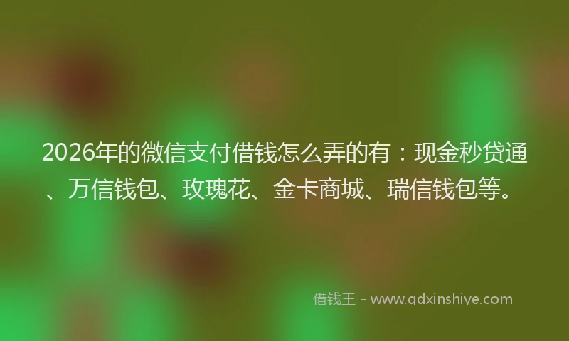 2026年的微信支付借钱怎么弄的有：现金秒贷通、万信钱包、玫瑰花、金卡商城、瑞信钱包等。