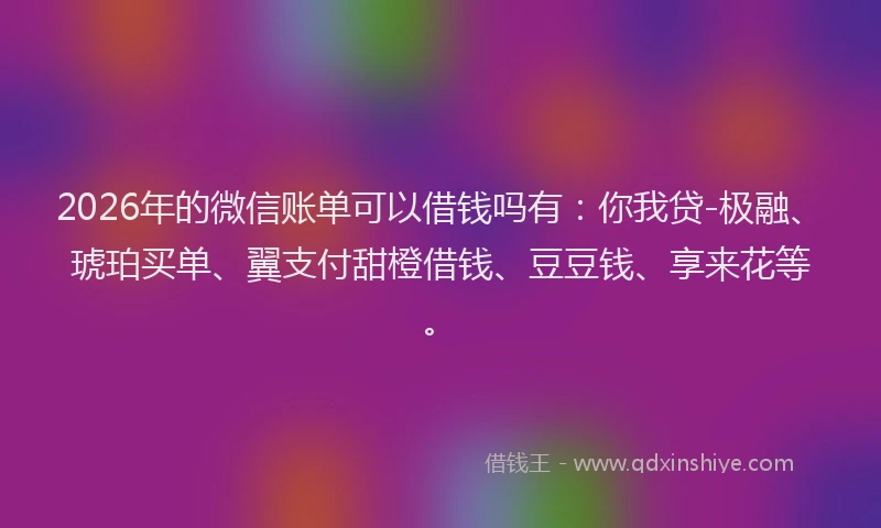 2026年的微信账单可以借钱吗有：你我贷-极融、琥珀买单、翼支付甜橙借钱、豆豆钱、享来花等。
