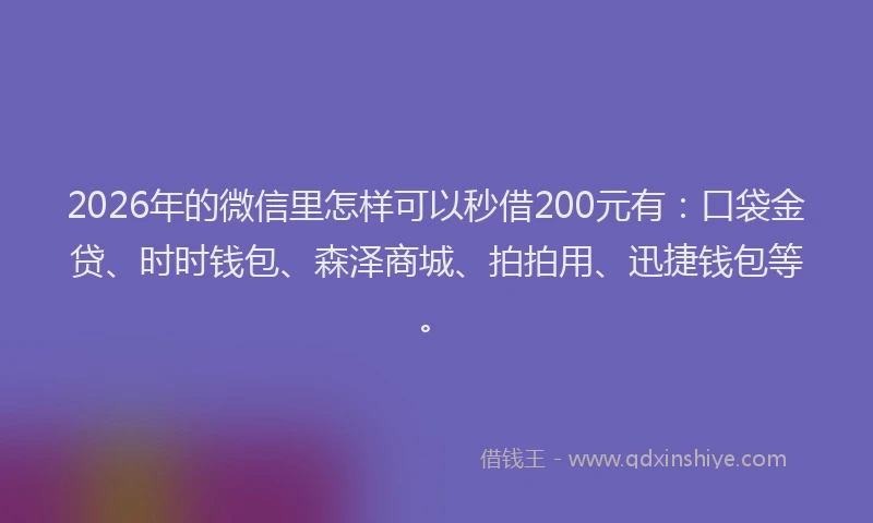 2026年的微信里怎样可以秒借200元有：口袋金贷、时时钱包、森泽商城、拍拍用、迅捷钱包等。