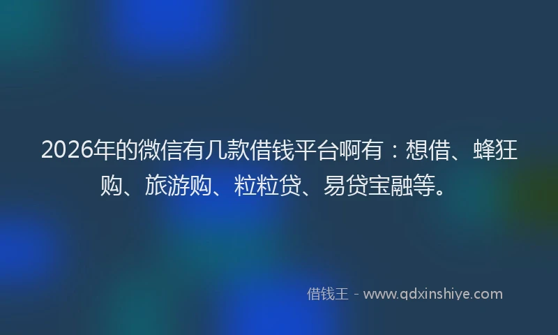 2026年的微信有几款借钱平台啊有:想借、蜂狂购、旅游购、粒粒贷、易贷宝融等。
