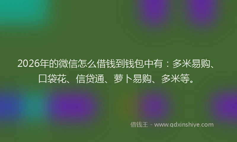 2026年的微信怎么借钱到钱包中有:多米易购、口袋花、信贷通、萝卜易购、多米等。