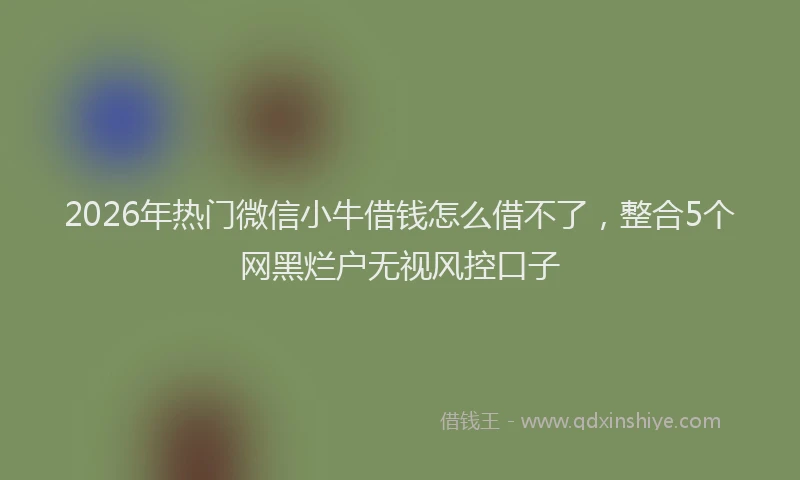 2026年热门微信小牛借钱怎么借不了,整合5个网黑烂户无视风控口子