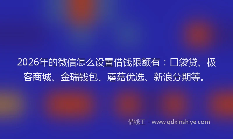 2026年的微信怎么设置借钱限额有：口袋贷、极客商城、金瑞钱包、蘑菇优选、新浪分期等。