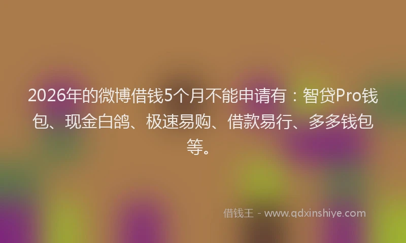 2026年的微博借钱5个月不能申请有：智贷Pro钱包、现金白鸽、极速易购、借款易行、多多钱包等。
