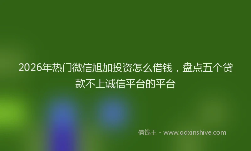 2026年热门微信旭加投资怎么借钱，盘点五个贷款不上诚信平台的平台