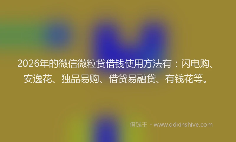 2026年的微信微粒贷借钱使用方法有：闪电购、安逸花、独品易购、借贷易融贷、有钱花等。