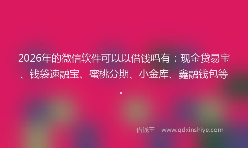 2026年的微信软件可以以借钱吗有：现金贷易宝、钱袋速融宝、蜜桃分期、小金库、鑫融钱包等。