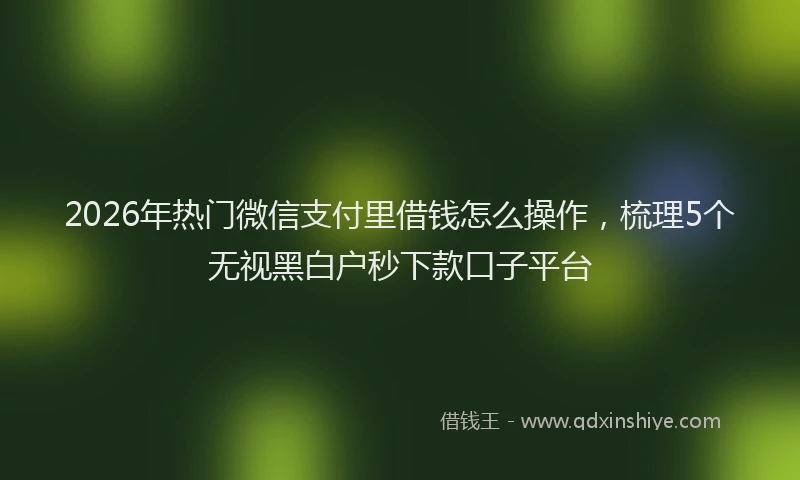 2026年热门微信支付里借钱怎么操作，梳理5个无视黑白户秒下款口子平台