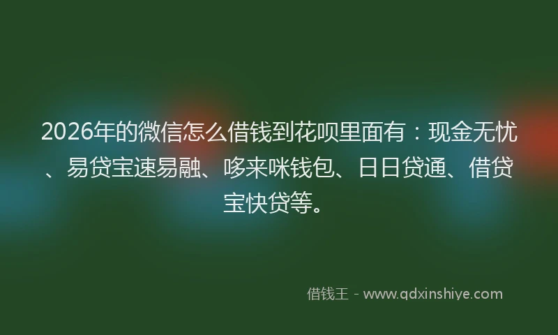 2026年的微信怎么借钱到花呗里面有：现金无忧、易贷宝速易融、哆来咪钱包、日日贷通、借贷宝快贷等。