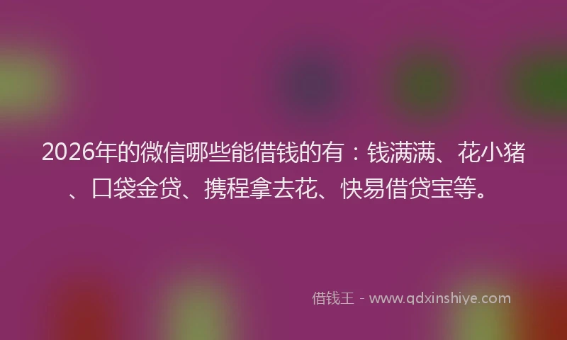 2026年的微信哪些能借钱的有：钱满满、花小猪、口袋金贷、携程拿去花、快易借贷宝等。