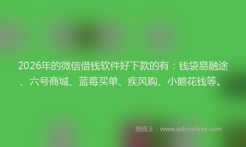 2026年的微信借钱软件好下款的有：钱袋易融途、六号商城、蓝莓买单、疾风购、小鹅花钱等。