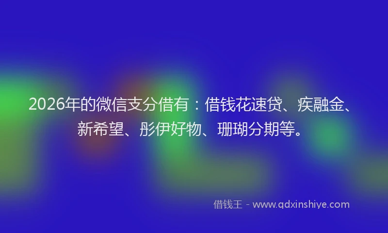 2026年的微信支分借有:借钱花速贷、疾融金、新希望、彤伊好物、珊瑚分期等。