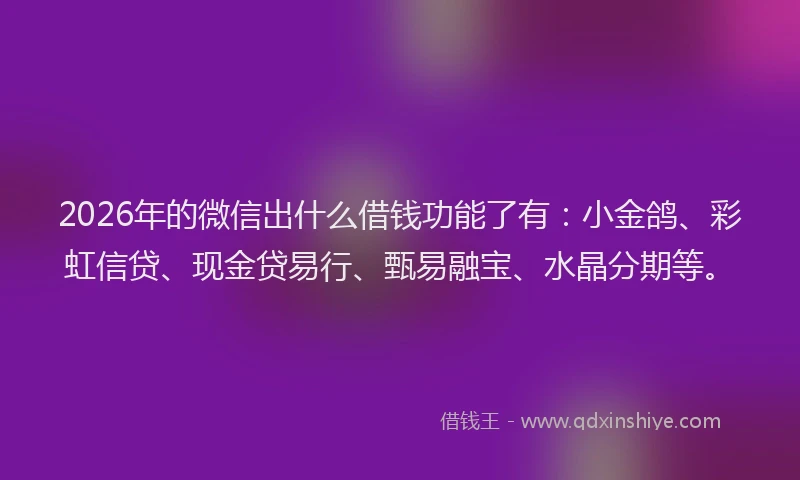 2026年的微信出什么借钱功能了有：小金鸽、彩虹信贷、现金贷易行、甄易融宝、水晶分期等。
