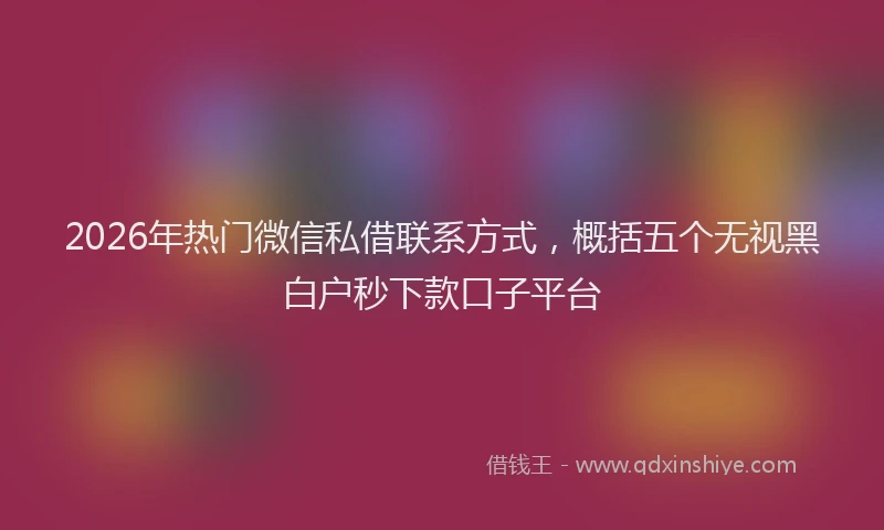 2026年热门微信私借联系方式，概括五个无视黑白户秒下款口子平台