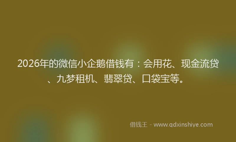 2026年的微信小企鹅借钱有：会用花、现金流贷、九梦租机、翡翠贷、口袋宝等。