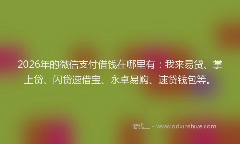 2026年的微信支付借钱在哪里有：我来易贷、掌上贷、闪贷速借宝、永卓易购、速贷钱包等。