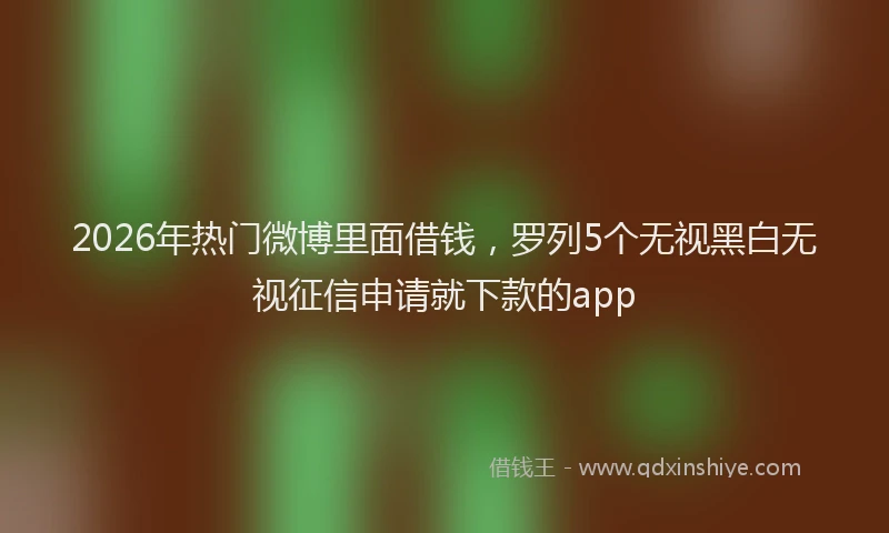 2026年热门微博里面借钱，罗列5个无视黑白无视征信申请就下款的app