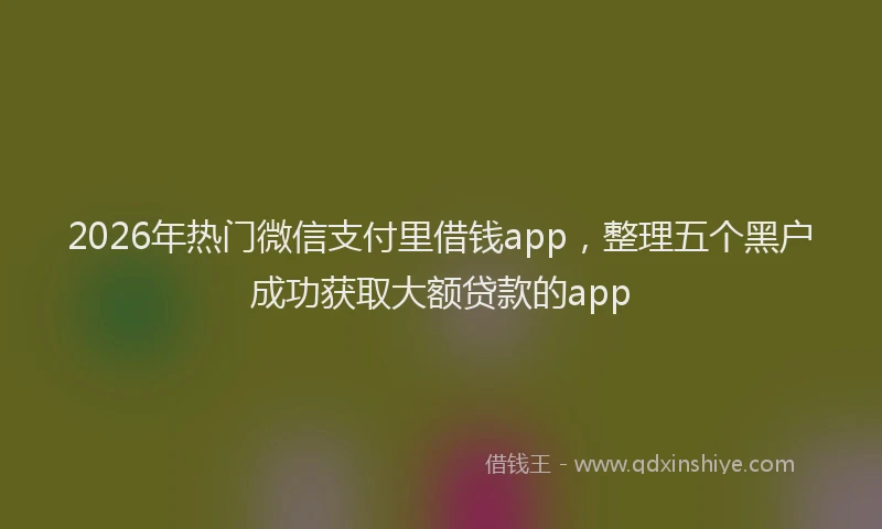 2026年热门微信支付里借钱app，整理五个黑户成功获取大额贷款的app