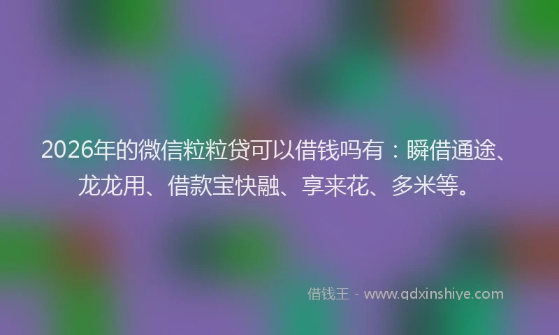 2026年的微信粒粒贷可以借钱吗有：瞬借通途、龙龙用、借款宝快融、享来花、多米等。