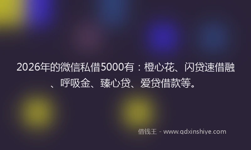 2026年的微信私借5000有：橙心花、闪贷速借融、呼吸金、臻心贷、爱贷借款等。