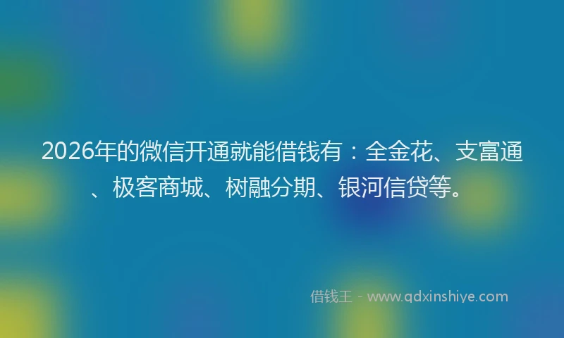 2026年的微信开通就能借钱有：全金花、支富通、极客商城、树融分期、银河信贷等。