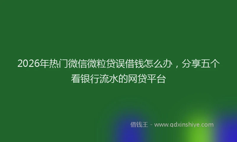 2026年热门微信微粒贷误借钱怎么办，分享五个看银行流水的网贷平台