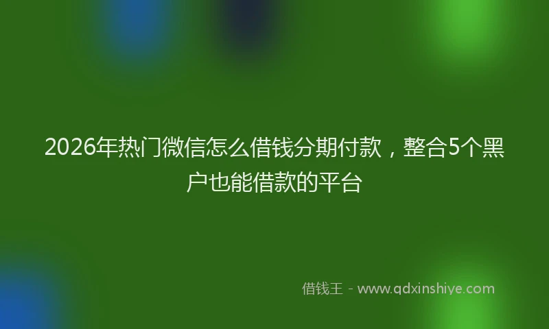 2026年热门微信怎么借钱分期付款，整合5个黑户也能借款的平台
