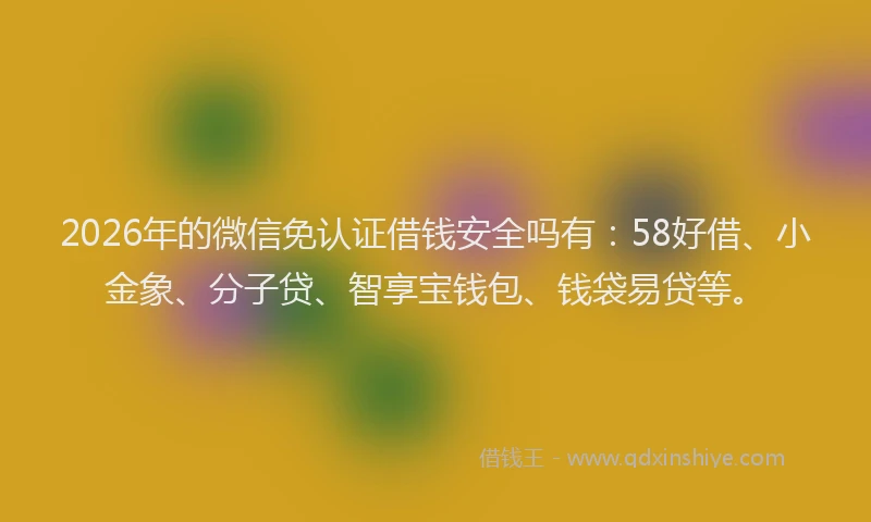 2026年的微信免认证借钱安全吗有：58好借、小金象、分子贷、智享宝钱包、钱袋易贷等。