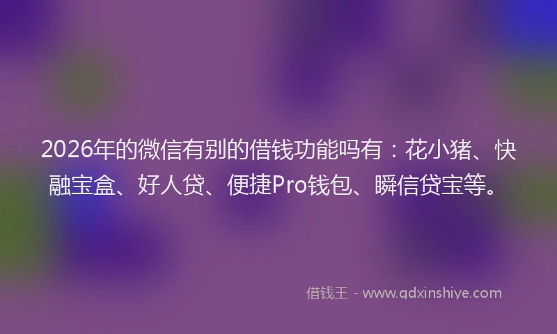 2026年的微信有别的借钱功能吗有：花小猪、快融宝盒、好人贷、便捷Pro钱包、瞬信贷宝等。