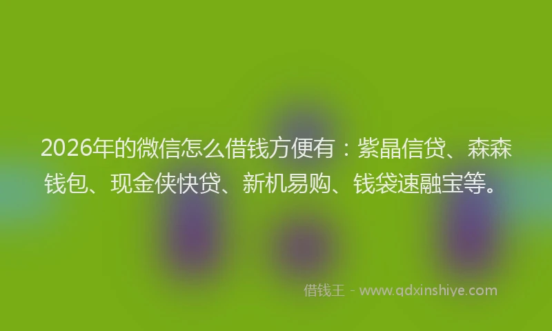 2026年的微信怎么借钱方便有：紫晶信贷、森森钱包、现金侠快贷、新机易购、钱袋速融宝等。