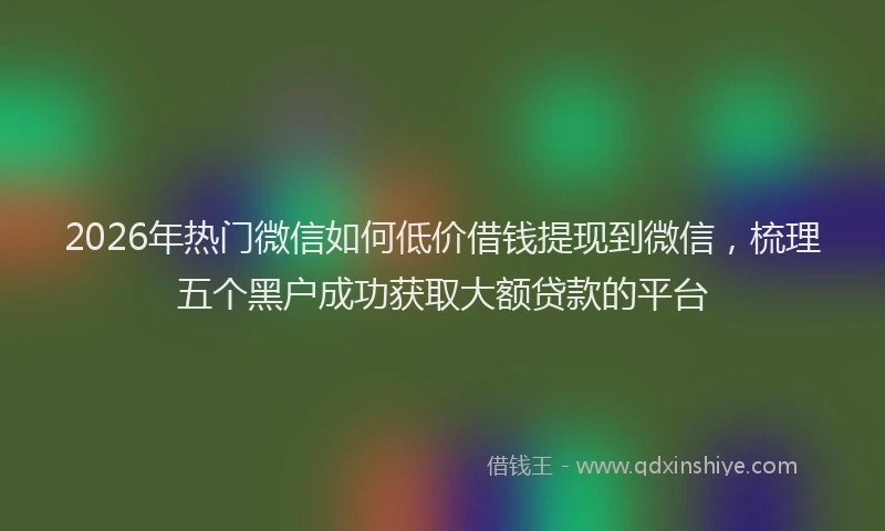 2026年热门微信如何低价借钱提现到微信，梳理五个黑户成功获取大额贷款的平台