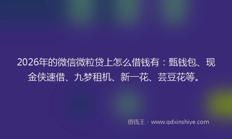 2026年的微信微粒贷上怎么借钱有：甄钱包、现金侠速借、九梦租机、新一花、芸豆花等。