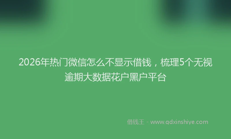 2026年热门微信怎么不显示借钱，梳理5个无视逾期大数据花户黑户平台