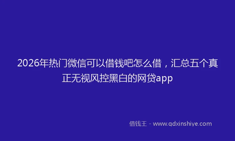 2026年热门微信可以借钱吧怎么借，汇总五个真正无视风控黑白的网贷app