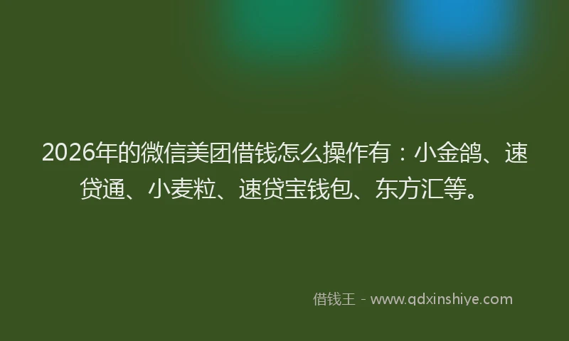 2026年的微信美团借钱怎么操作有：小金鸽、速贷通、小麦粒、速贷宝钱包、东方汇等。
